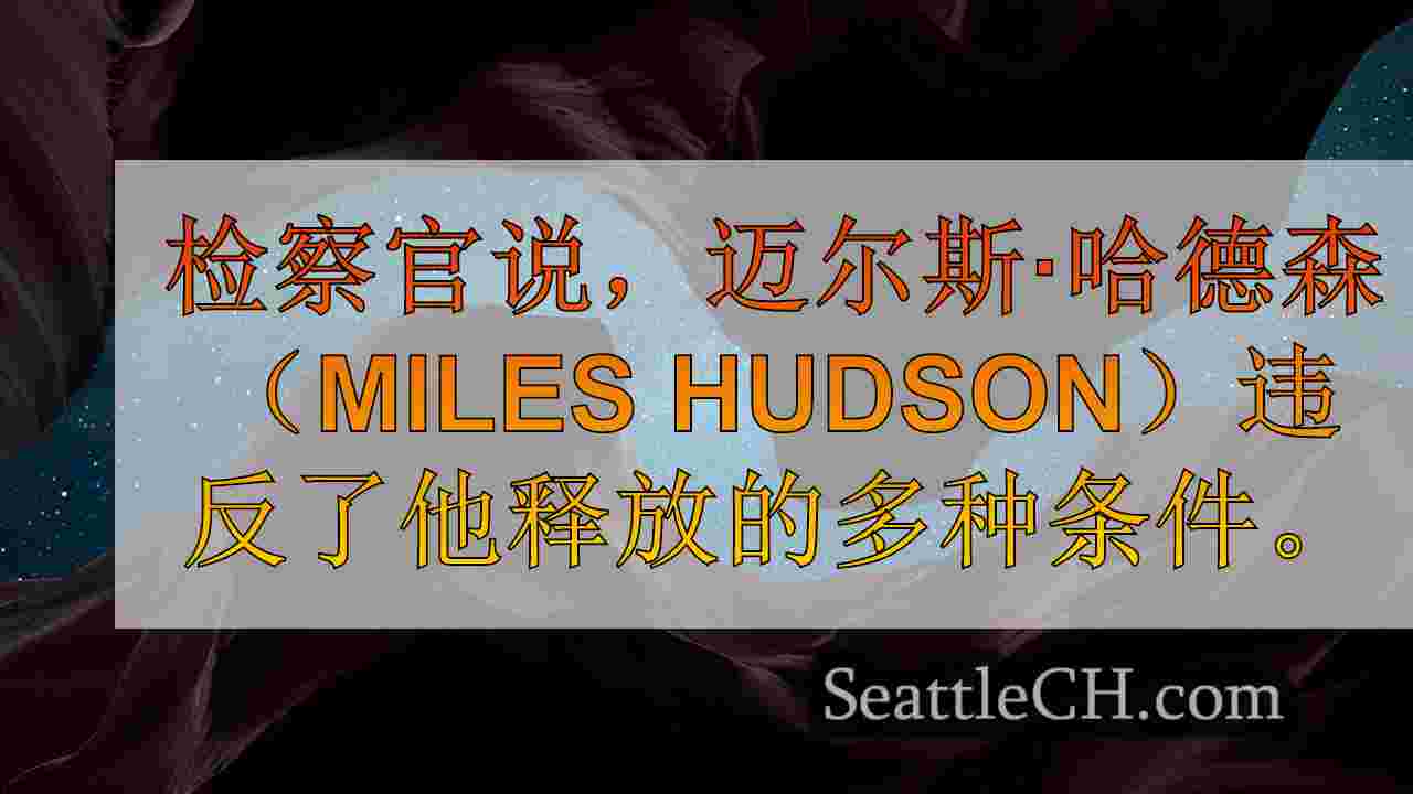 西雅图新闻 SeattleCH