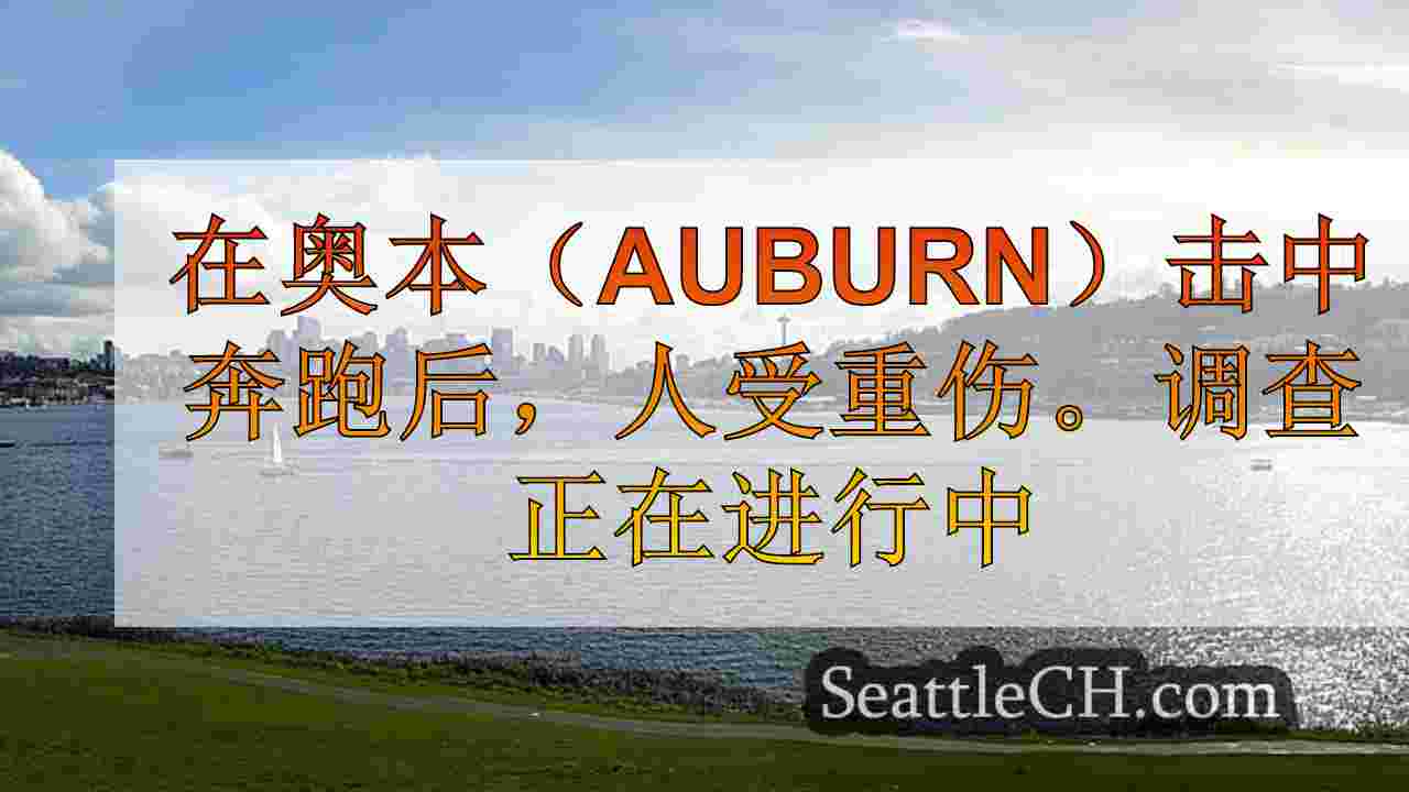 西雅图新闻 SeattleCH