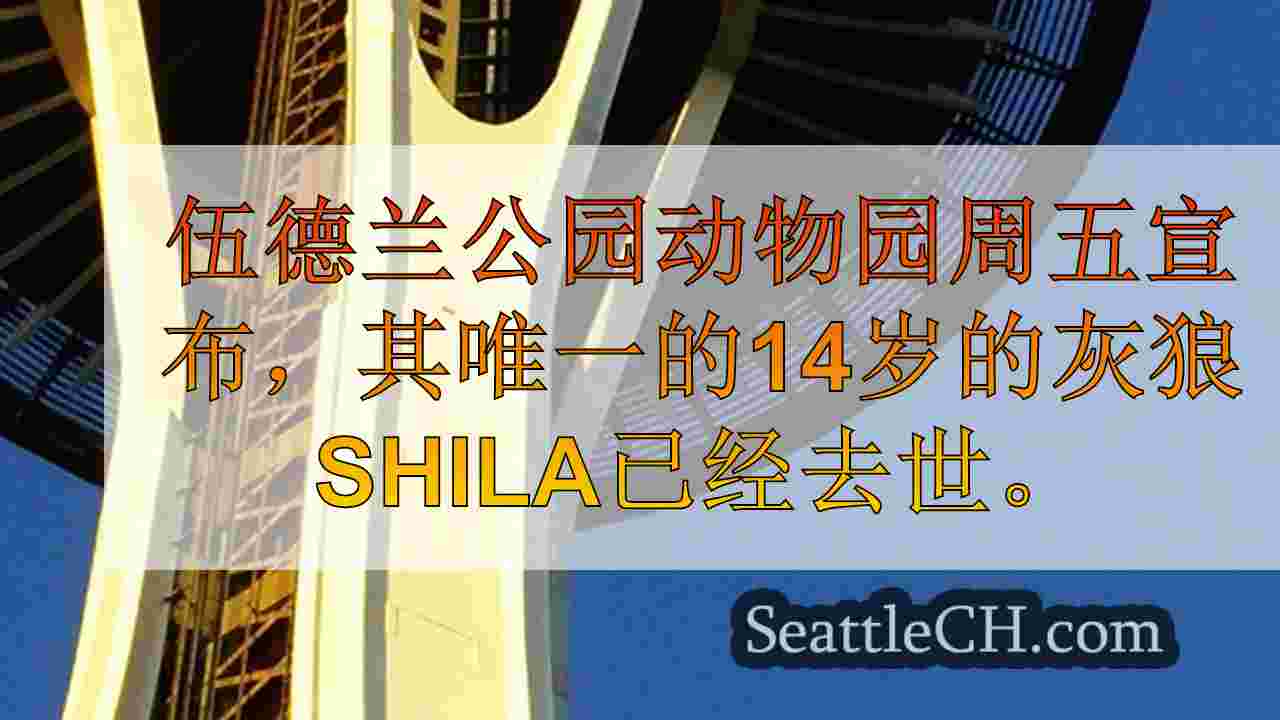 西雅图新闻 SeattleCH