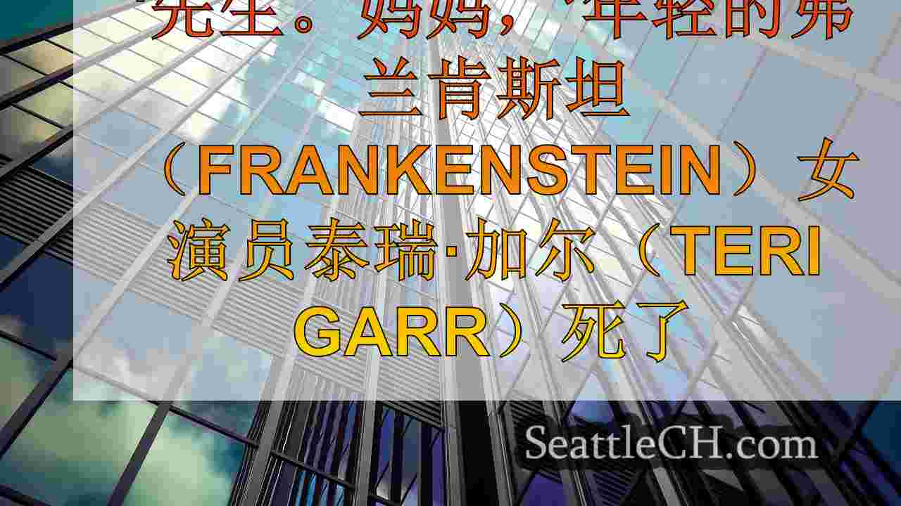 西雅图新闻 SeattleCH