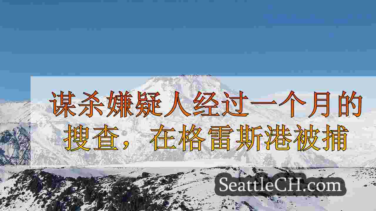 西雅图新闻 SeattleCH