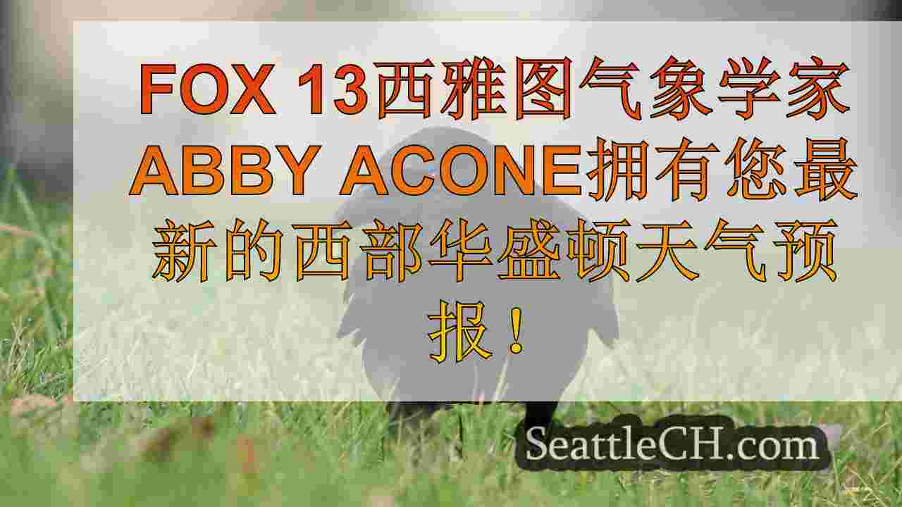 灰色的天空，这个周末在西雅图地区商店的雨水和阵阵天气