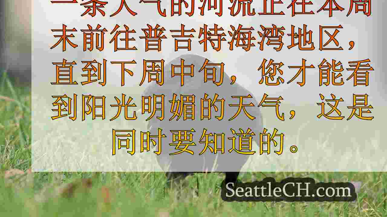 西澳大利亚州的西澳电力断电弹出，大气河，大风流入