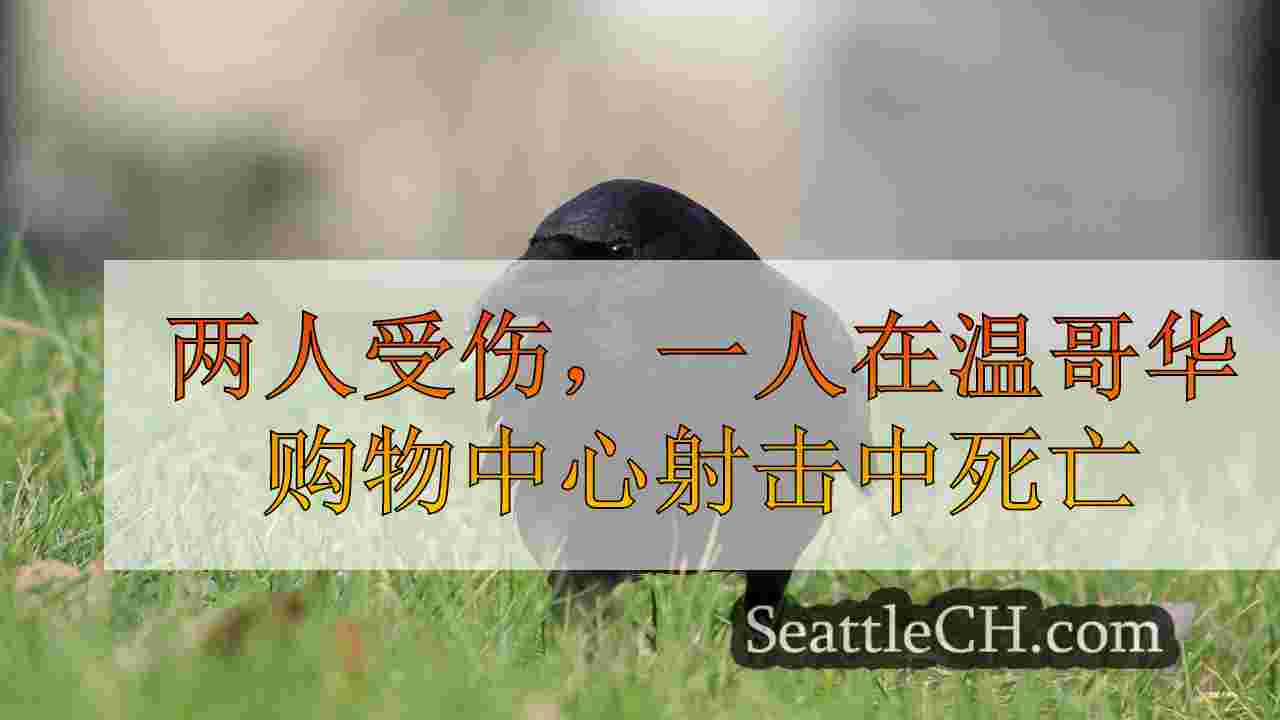 西雅图新闻 SeattleCH