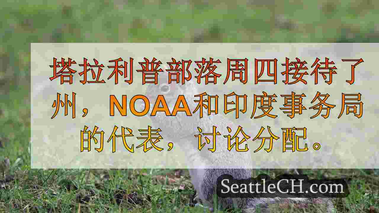 西雅图新闻 SeattleCH