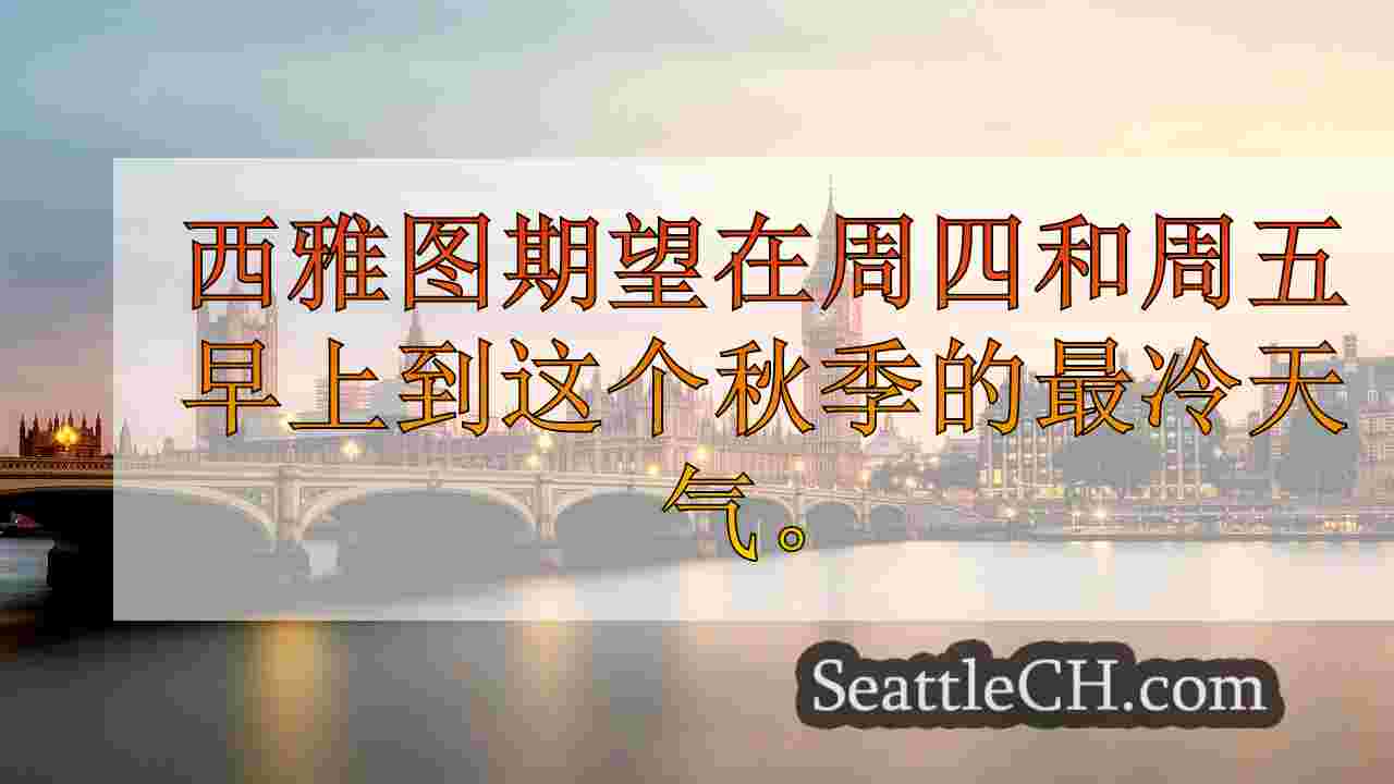 西雅图新闻 SeattleCH