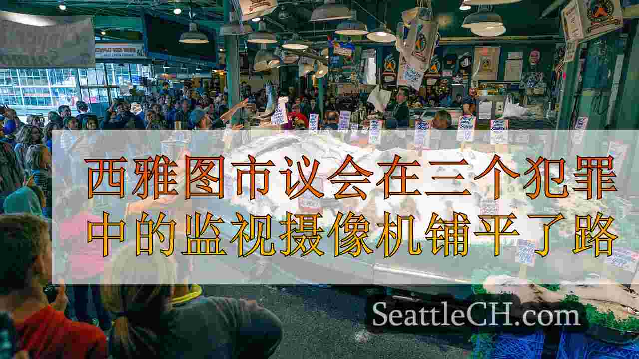 西雅图市议会在三个犯罪社区的监视摄像机铺平了路