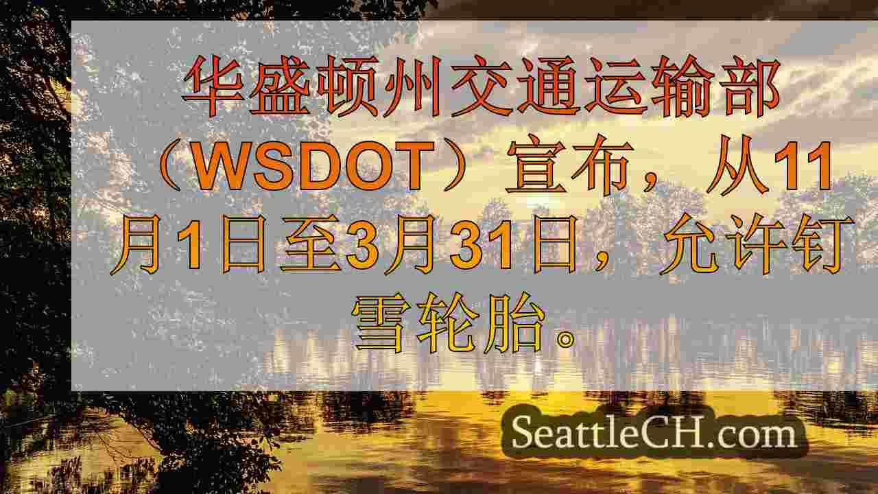 西雅图新闻 SeattleCH