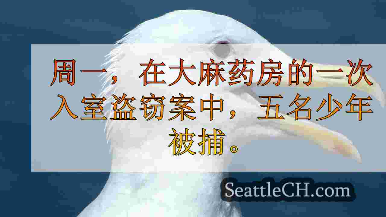 西雅图新闻 SeattleCH