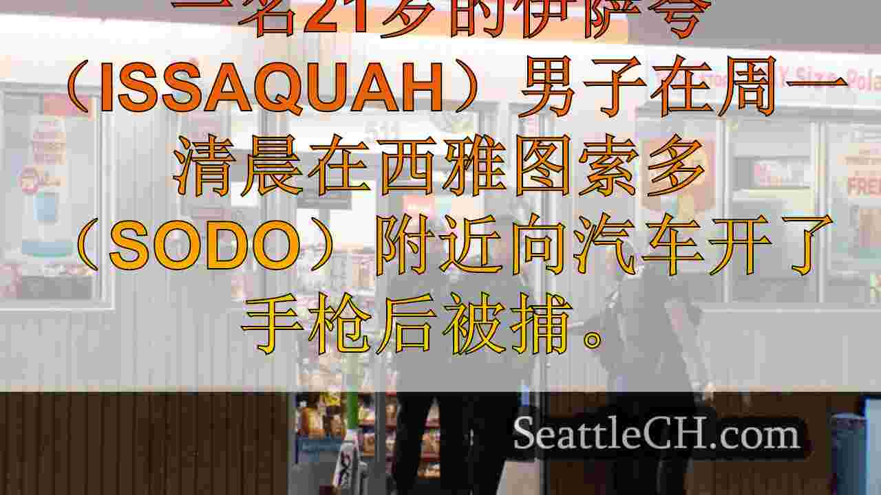 西雅图新闻 SeattleCH