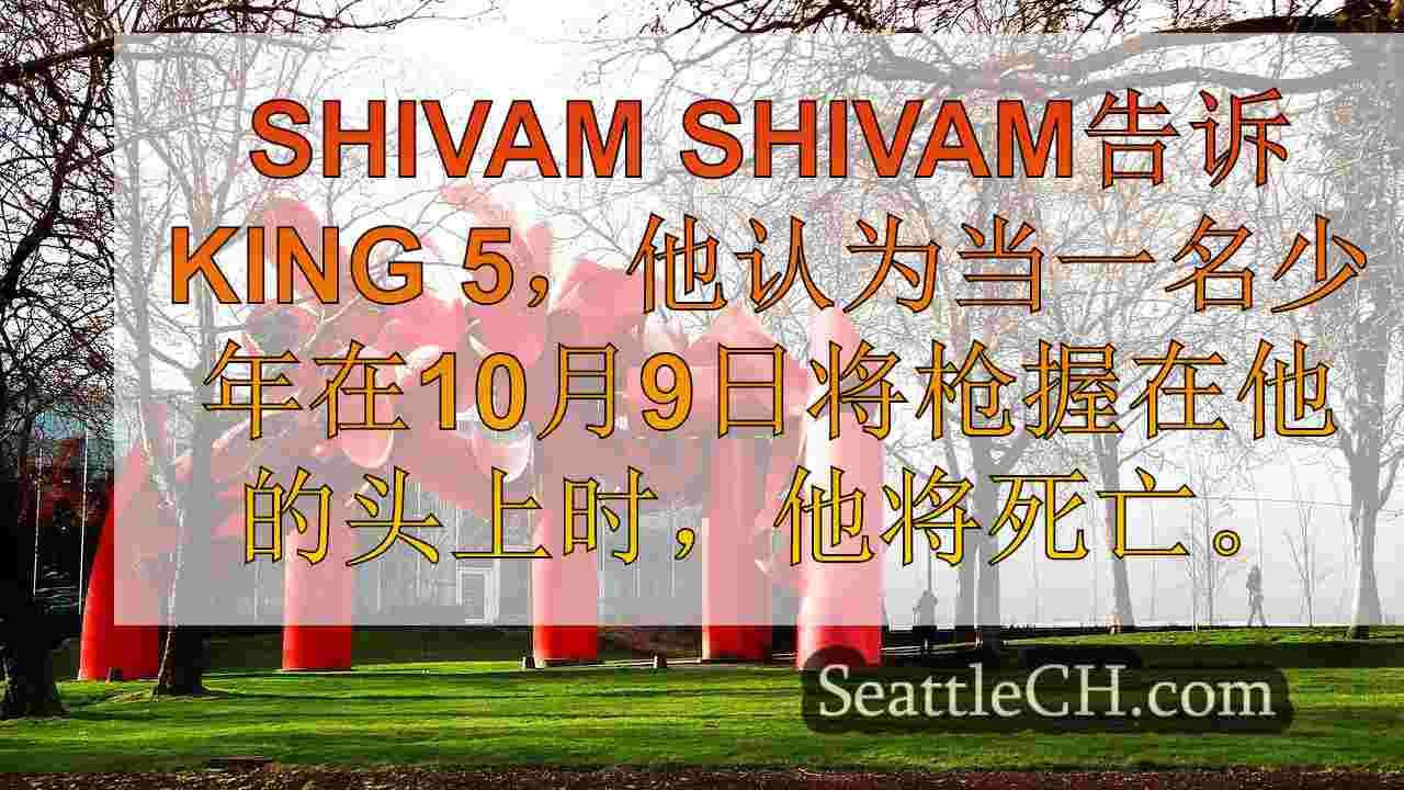 西雅图新闻 SeattleCH