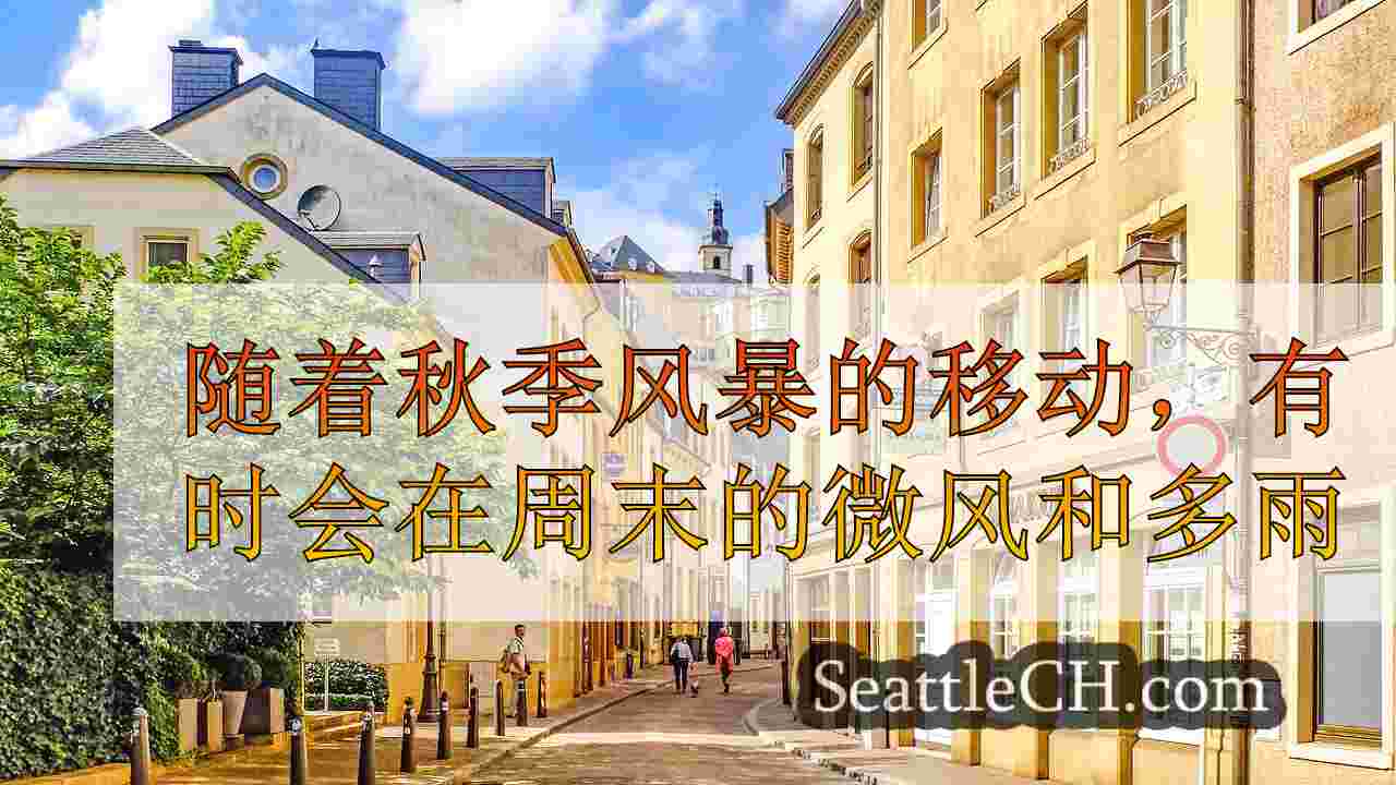 西雅图新闻 SeattleCH