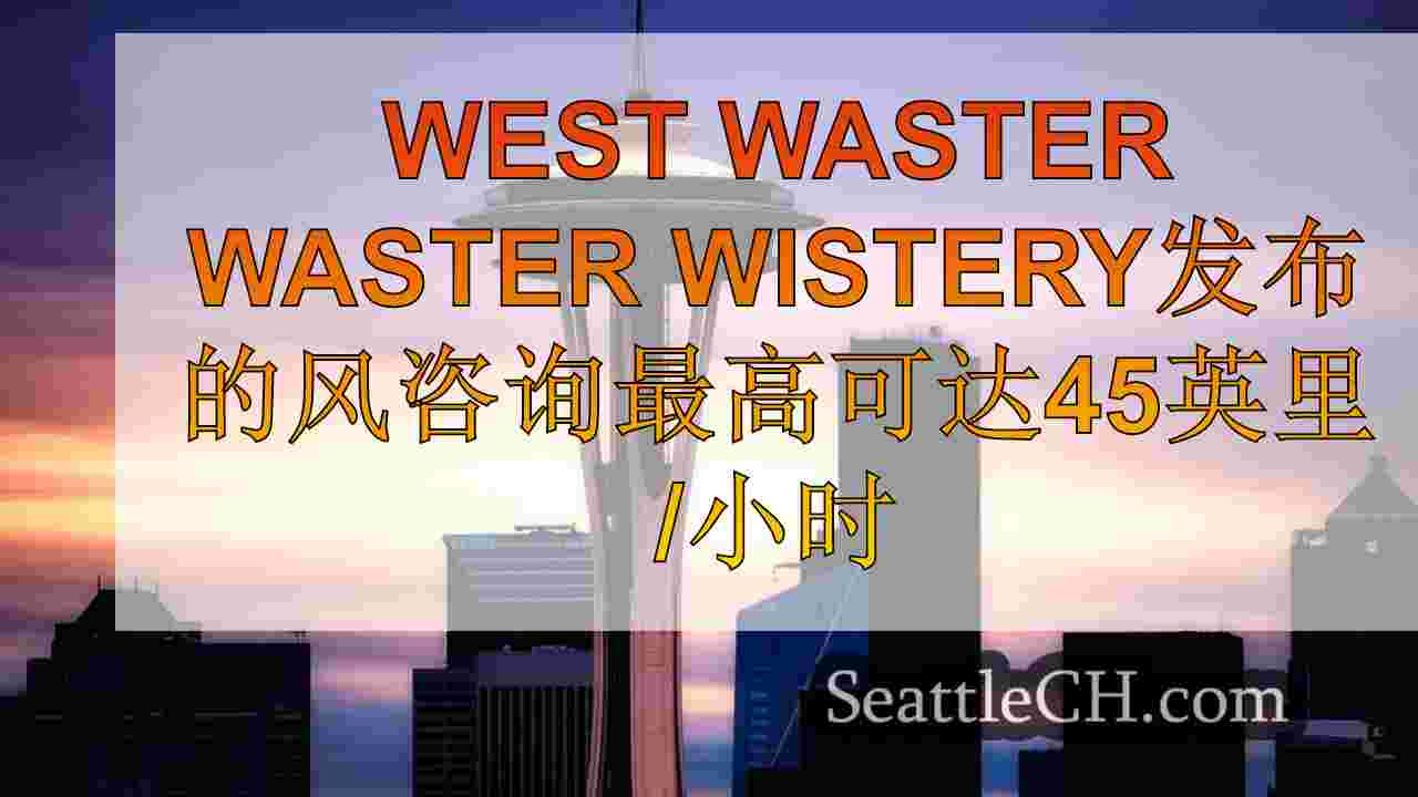 西雅图新闻 SeattleCH