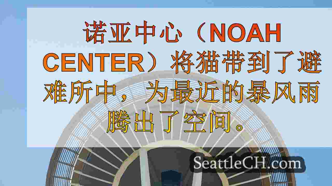 西雅图新闻 SeattleCH
