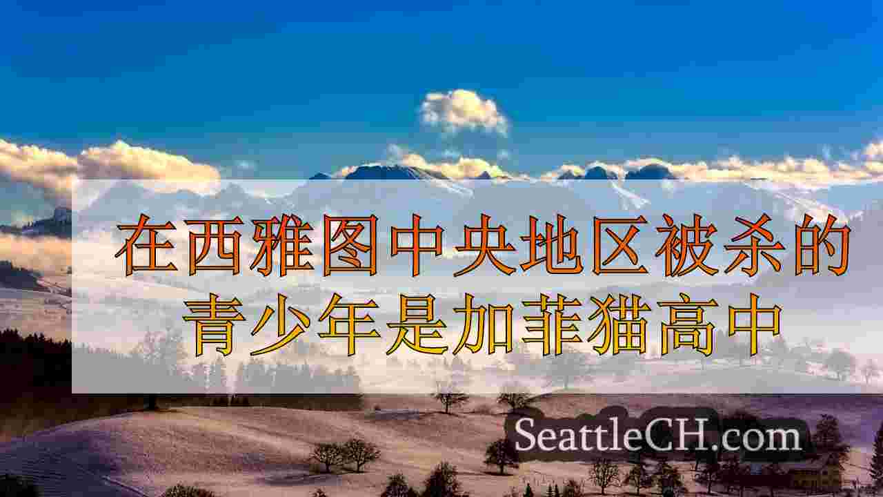 西雅图新闻 SeattleCH