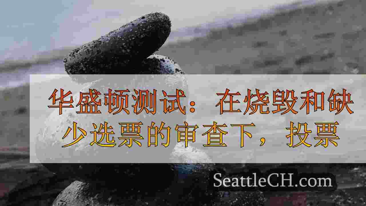 华盛顿测试了：在被烧毁和丢失选票的审查下，选民困惑