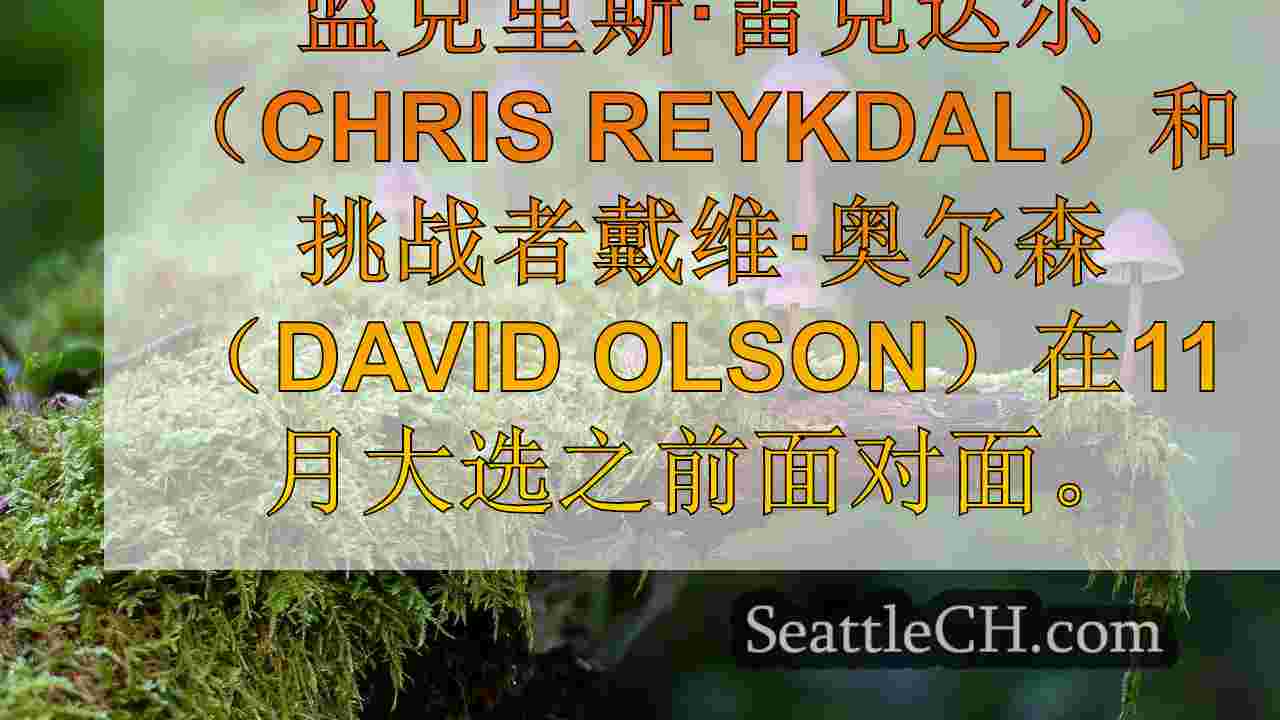 西雅图新闻 SeattleCH