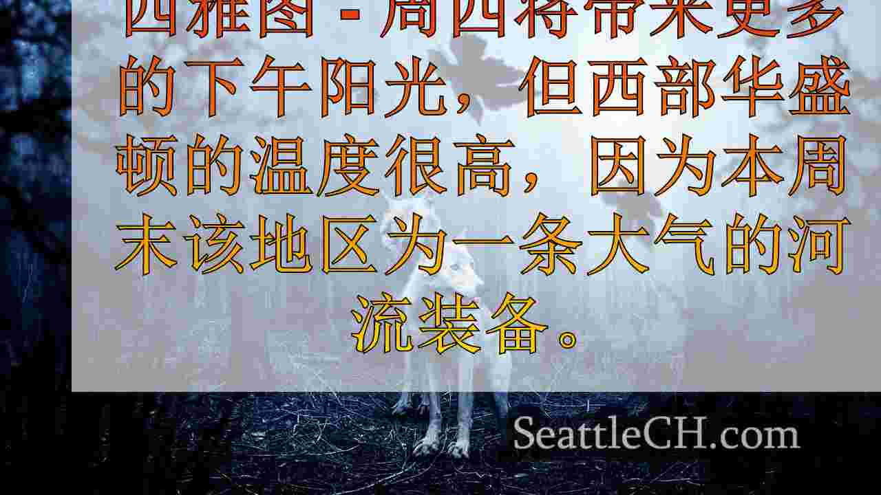 西雅图新闻 SeattleCH