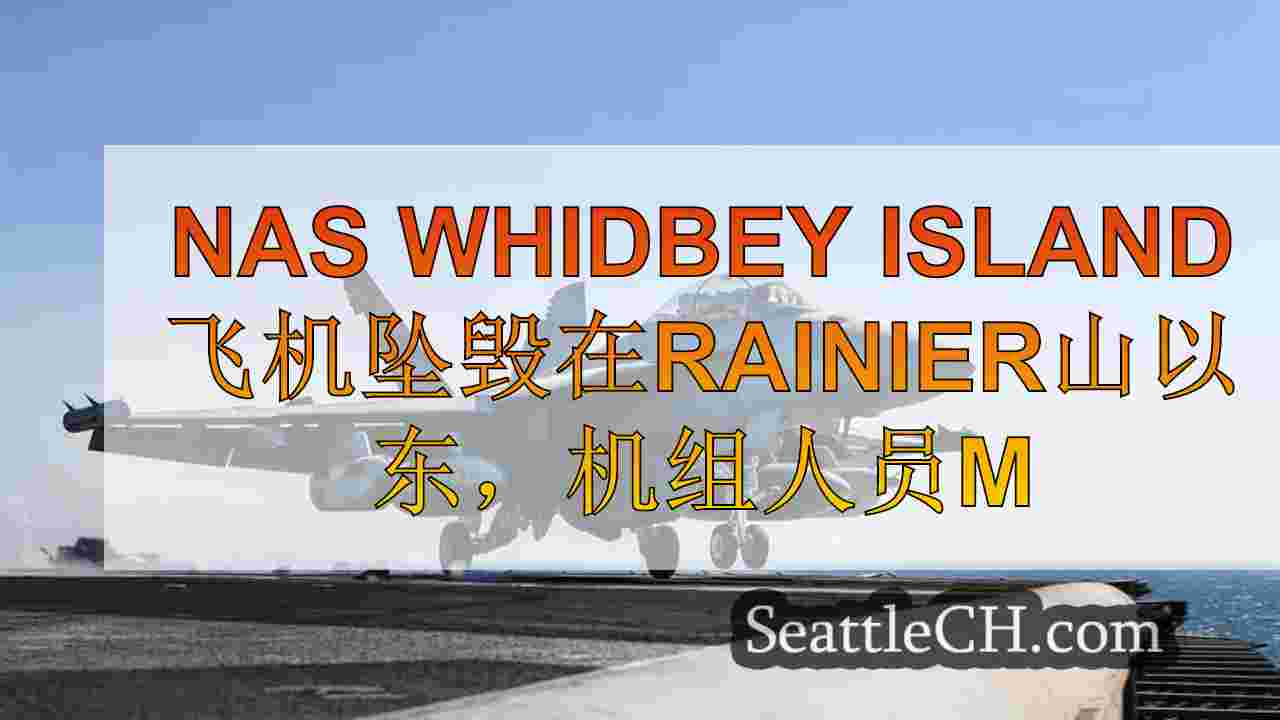 Nas Whidbey Island飞机坠毁在雷尼尔山以东，船员失踪