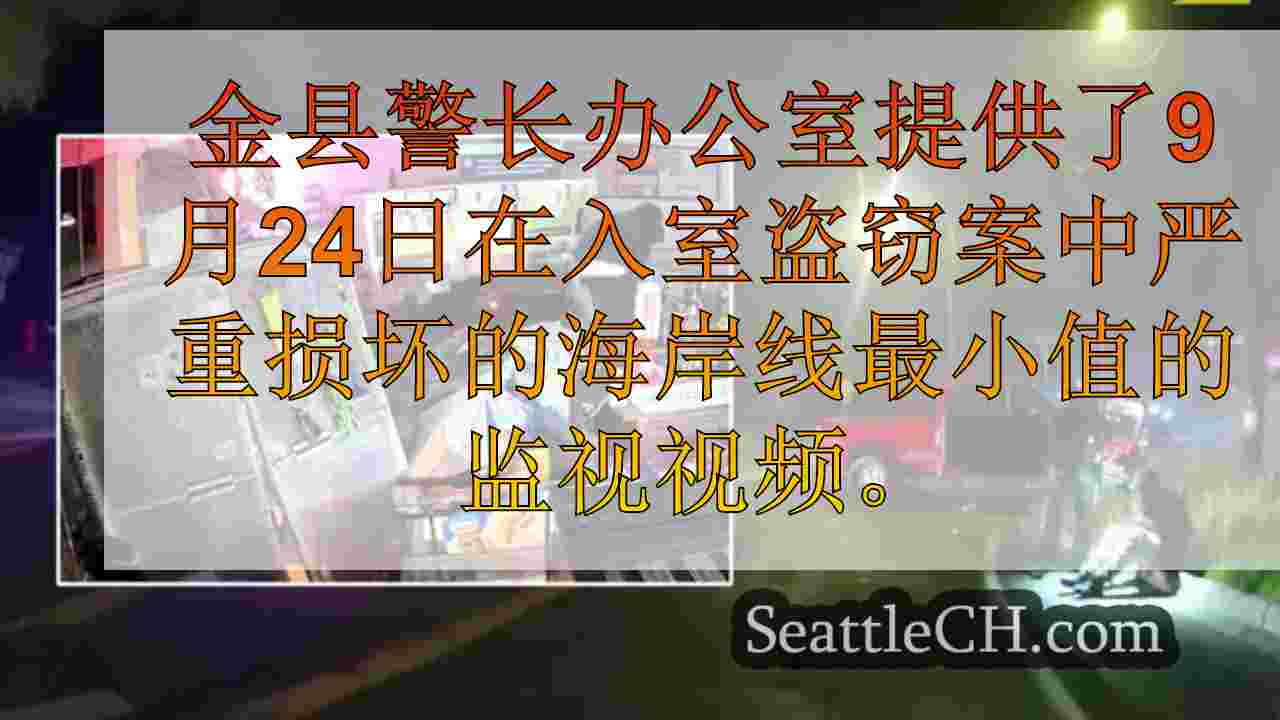视频：窃贼坠入海岸线最小值，2人被捕