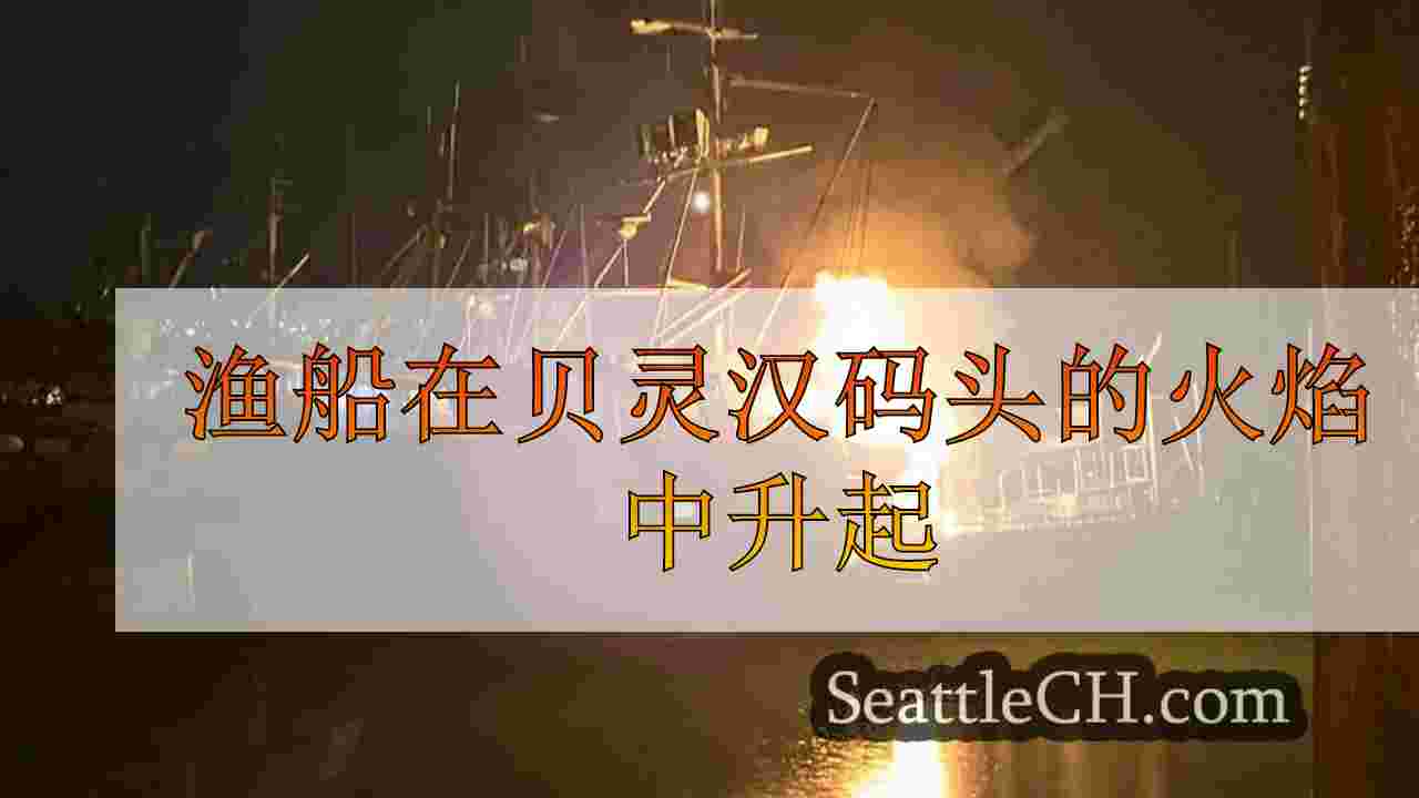 渔船在贝灵汉码头的火焰中升起