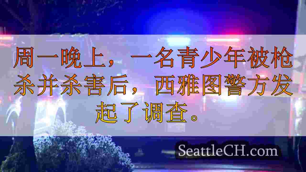青少年射击，在西雅图的中央区附近被杀