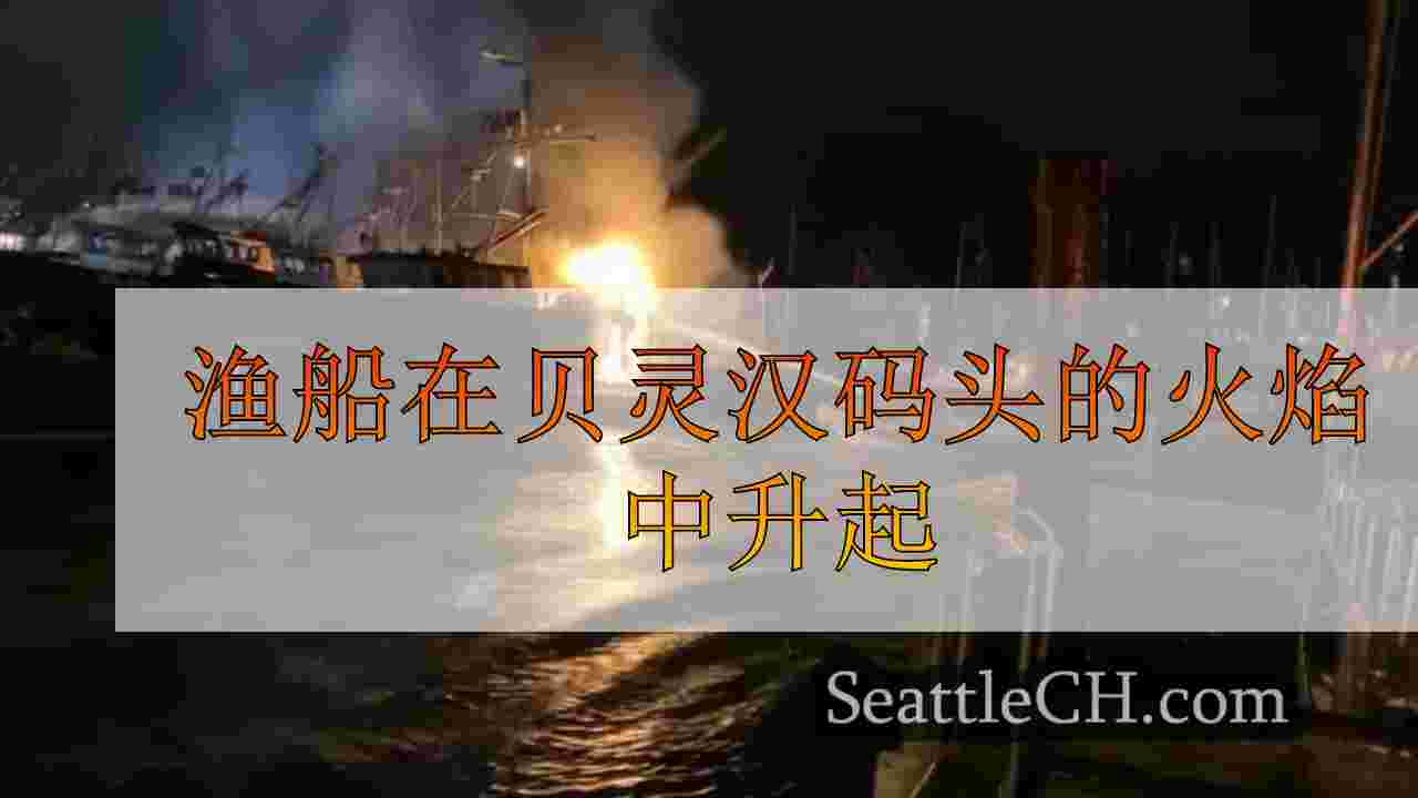 西雅图新闻 SeattleCH