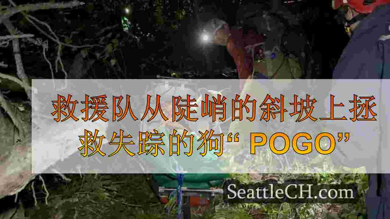 救援队从Puyallup河上方的陡坡上拯救失踪的狗“ Pogo”