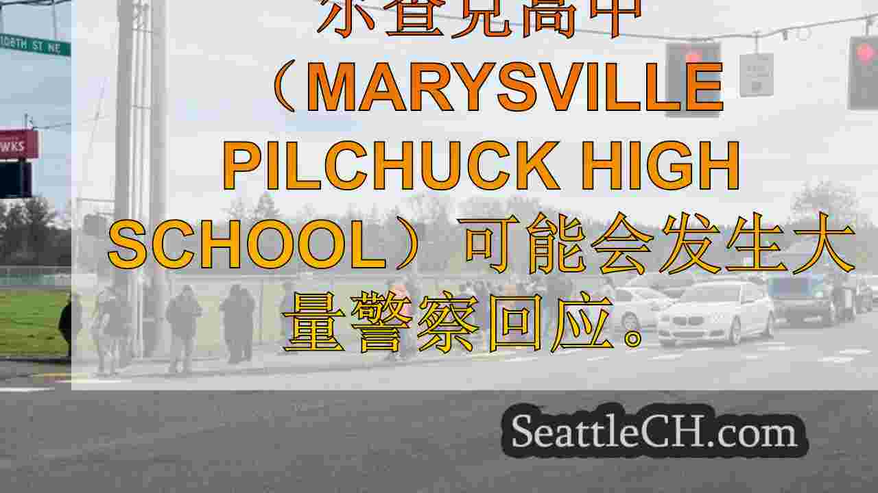 西雅图新闻 SeattleCH