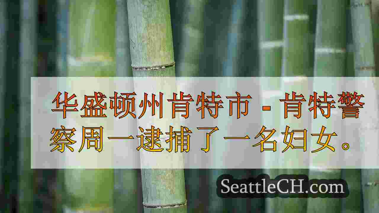 西雅图新闻 SeattleCH