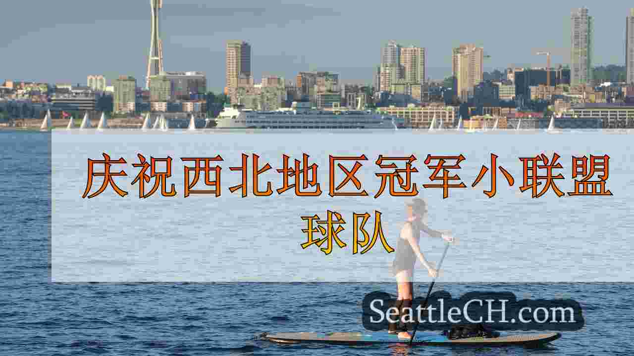 庆祝西北地区冠军小联盟球队
