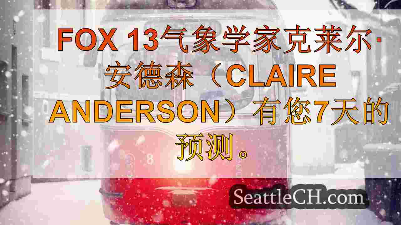 西雅图新闻 SeattleCH