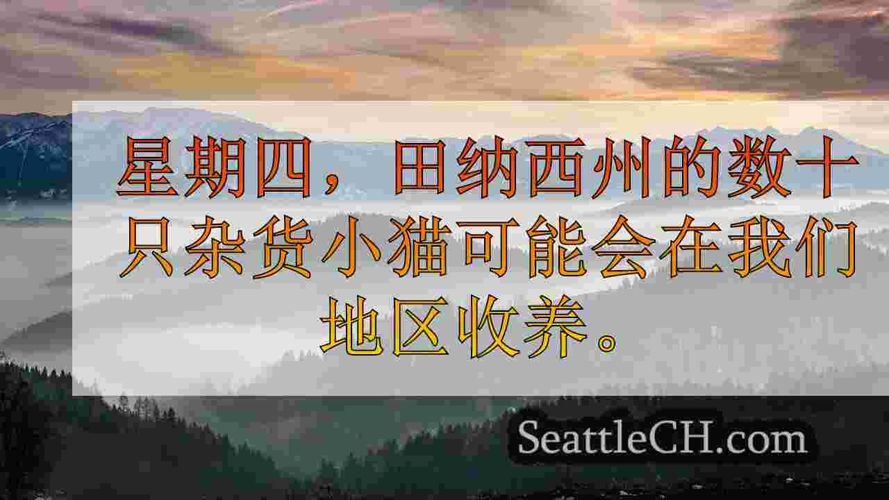 西雅图新闻 SeattleCH