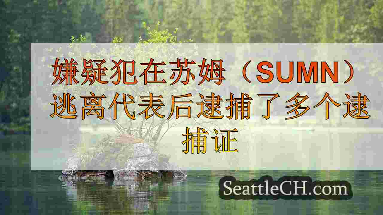 西雅图新闻 SeattleCH