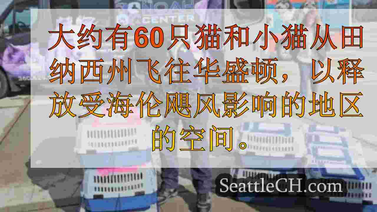 西雅图新闻 SeattleCH