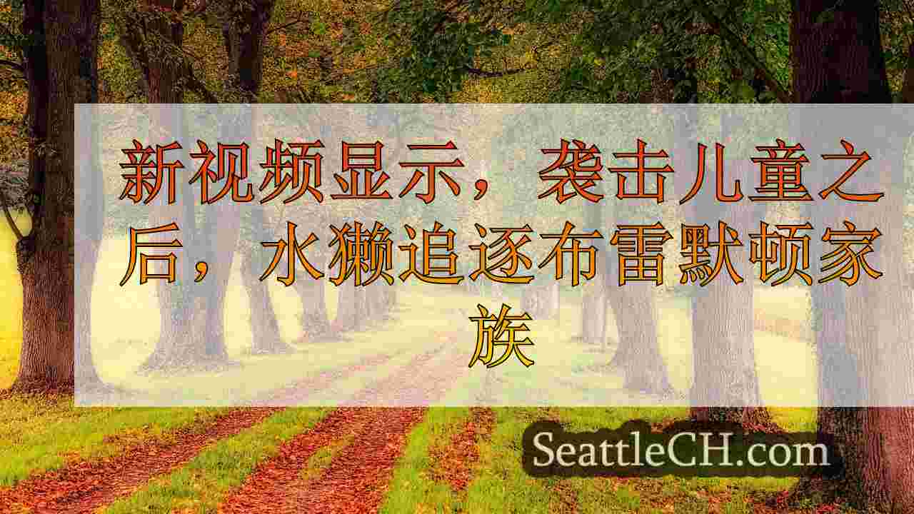 西雅图新闻 SeattleCH