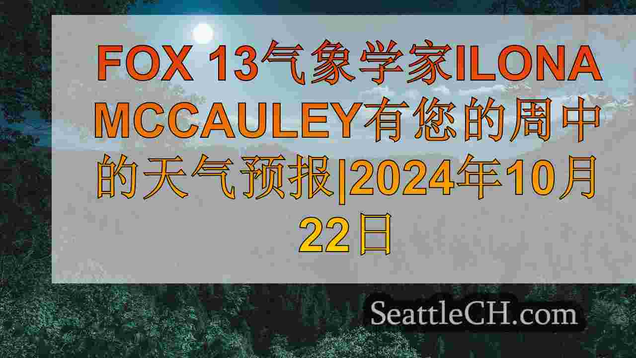 西雅图新闻 SeattleCH
