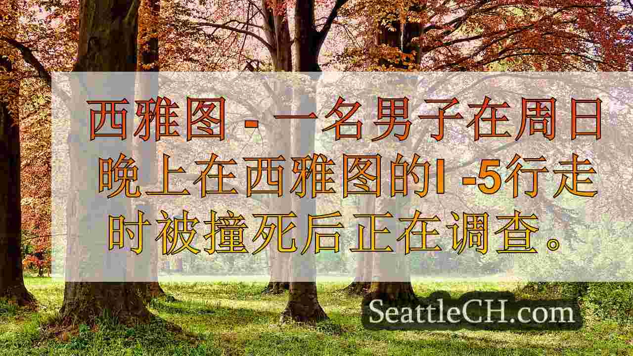 西雅图新闻 SeattleCH