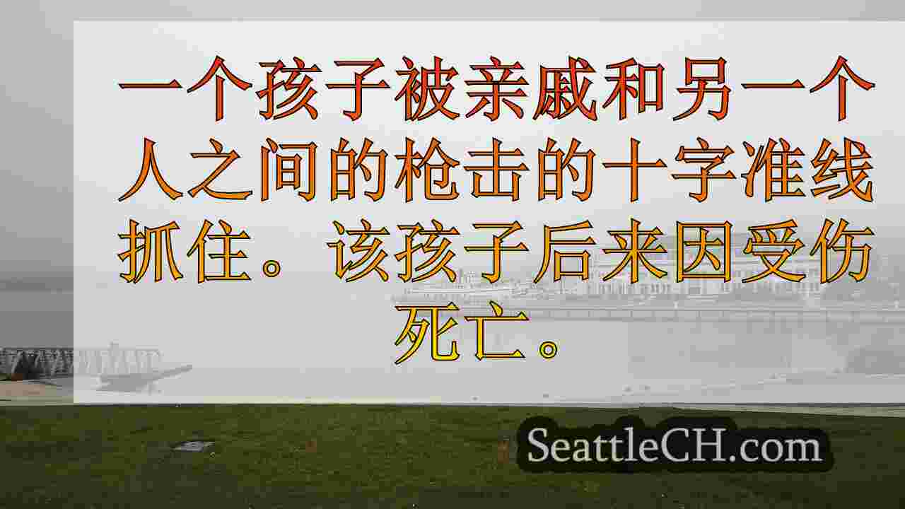 西雅图新闻 SeattleCH