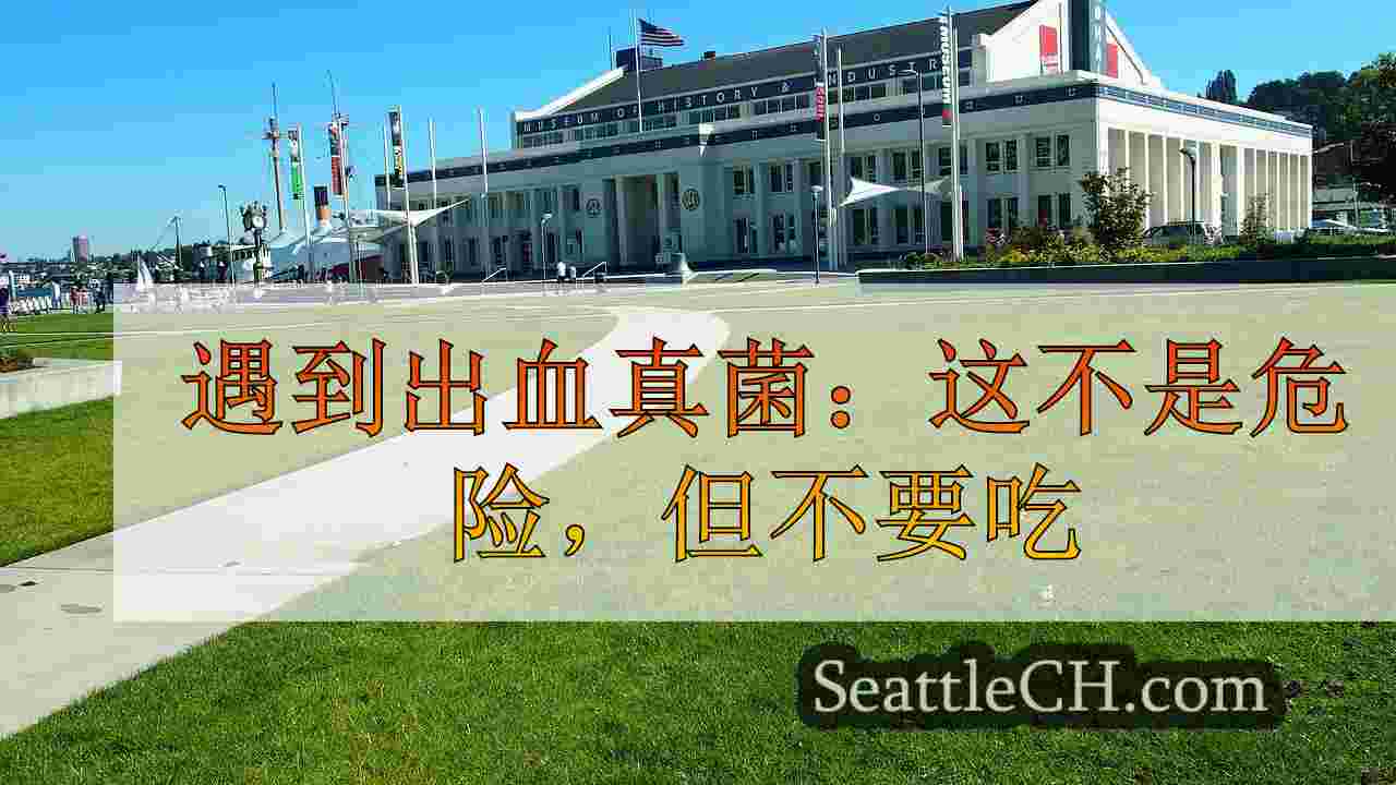 西雅图新闻 SeattleCH