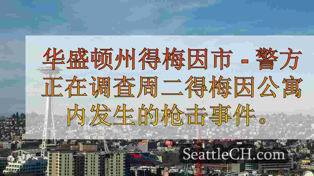 西雅图新闻 SeattleCH