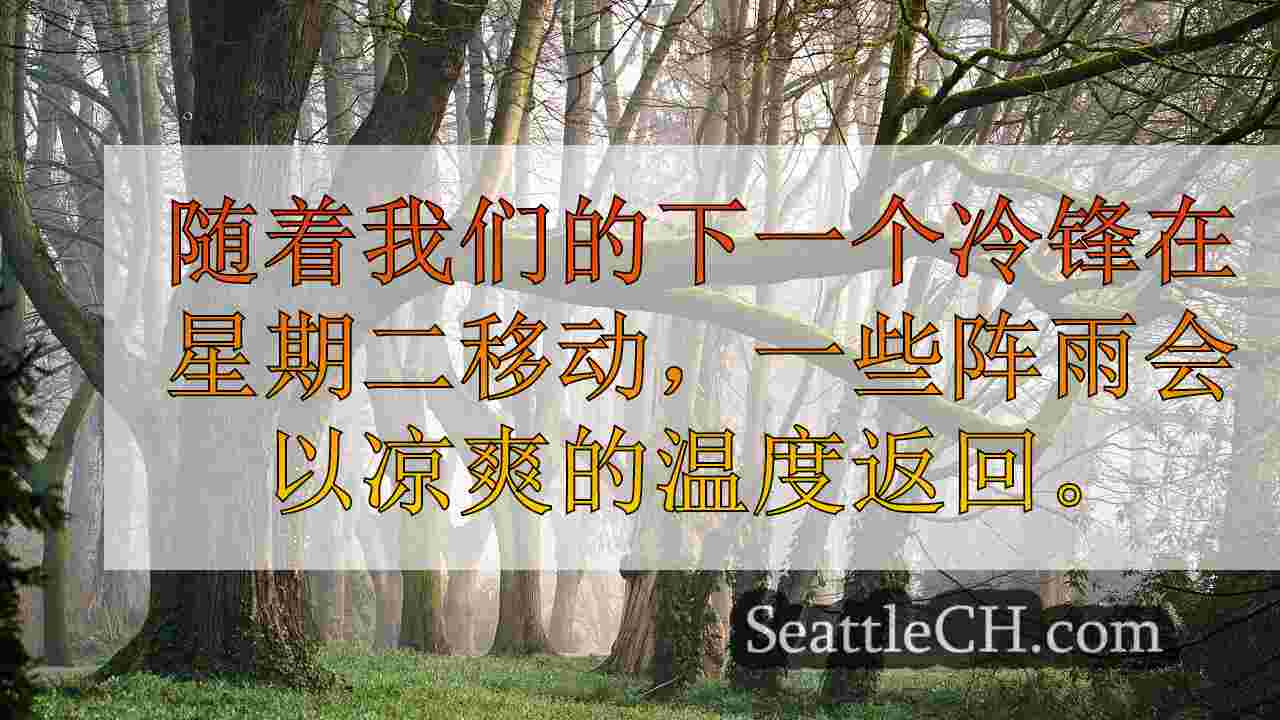 西雅图新闻 SeattleCH