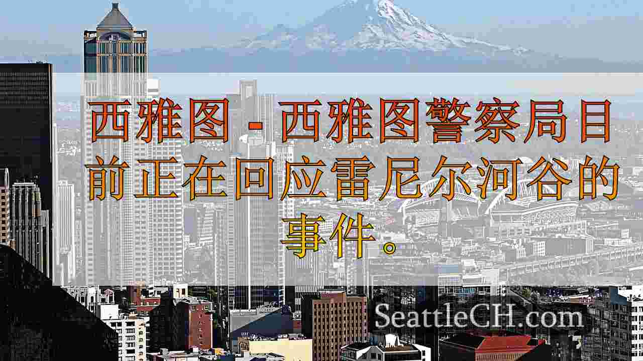西雅图警察回应雷尼尔谷的未知事件