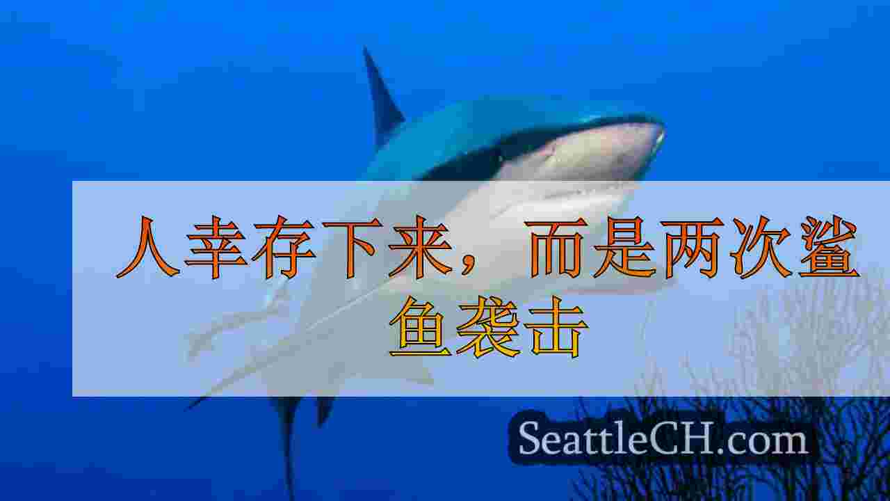 人幸存下来，而是两次鲨鱼袭击