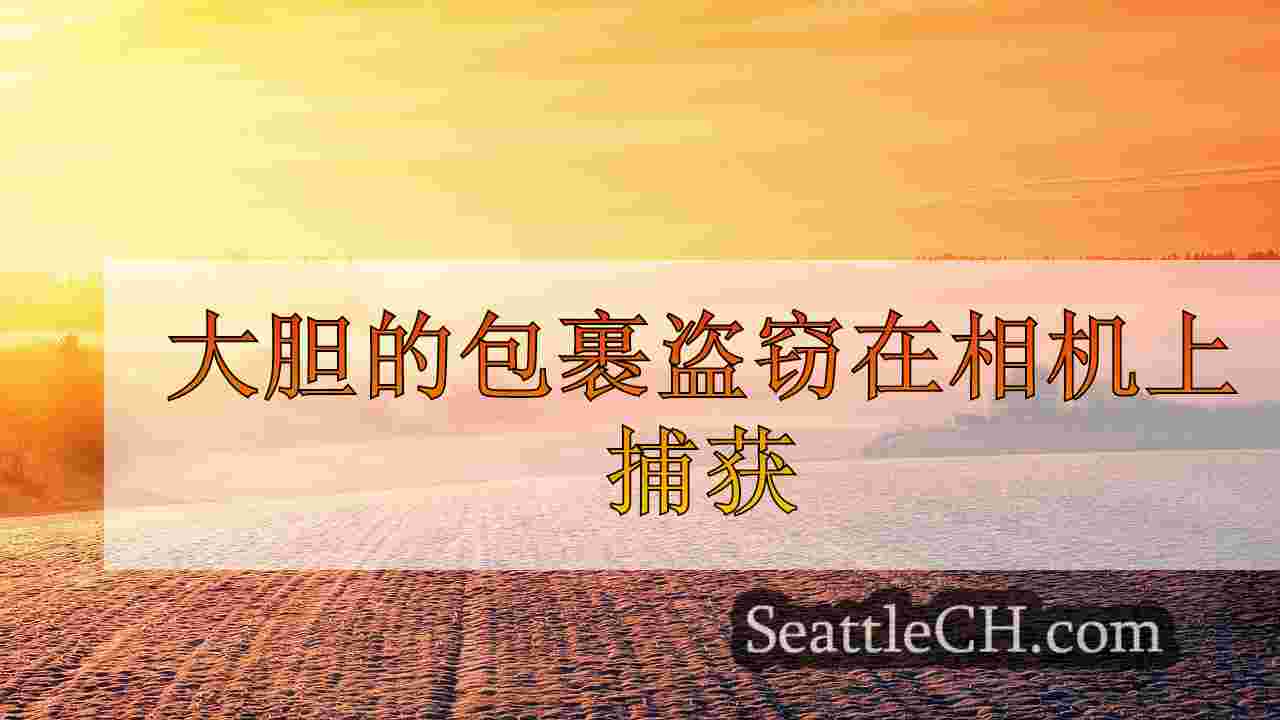 大胆的包裹盗窃在相机上捕获