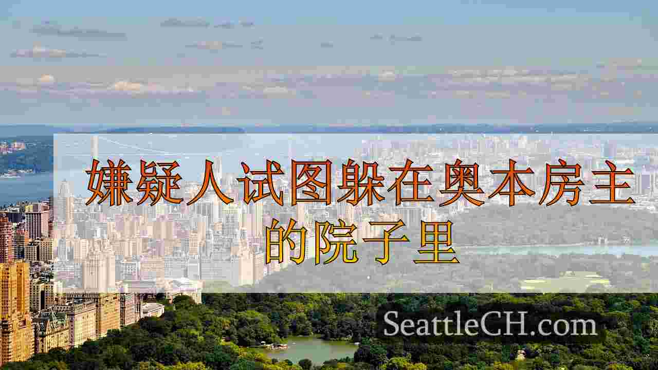 西雅图新闻 SeattleCH