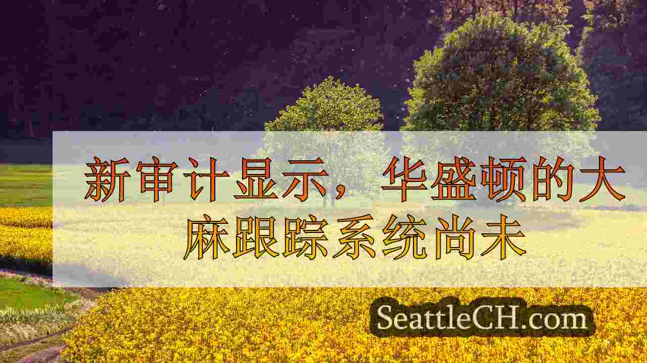 西雅图新闻 SeattleCH