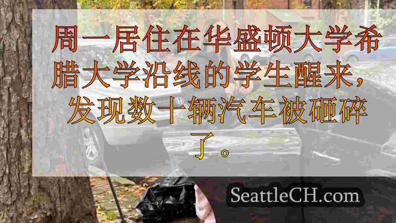 西雅图新闻 SeattleCH