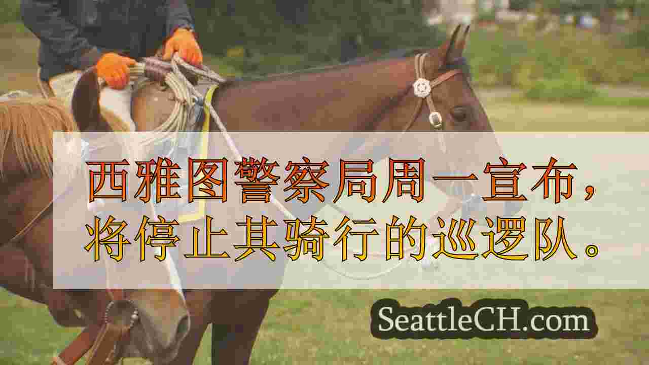 以缺乏资源为主