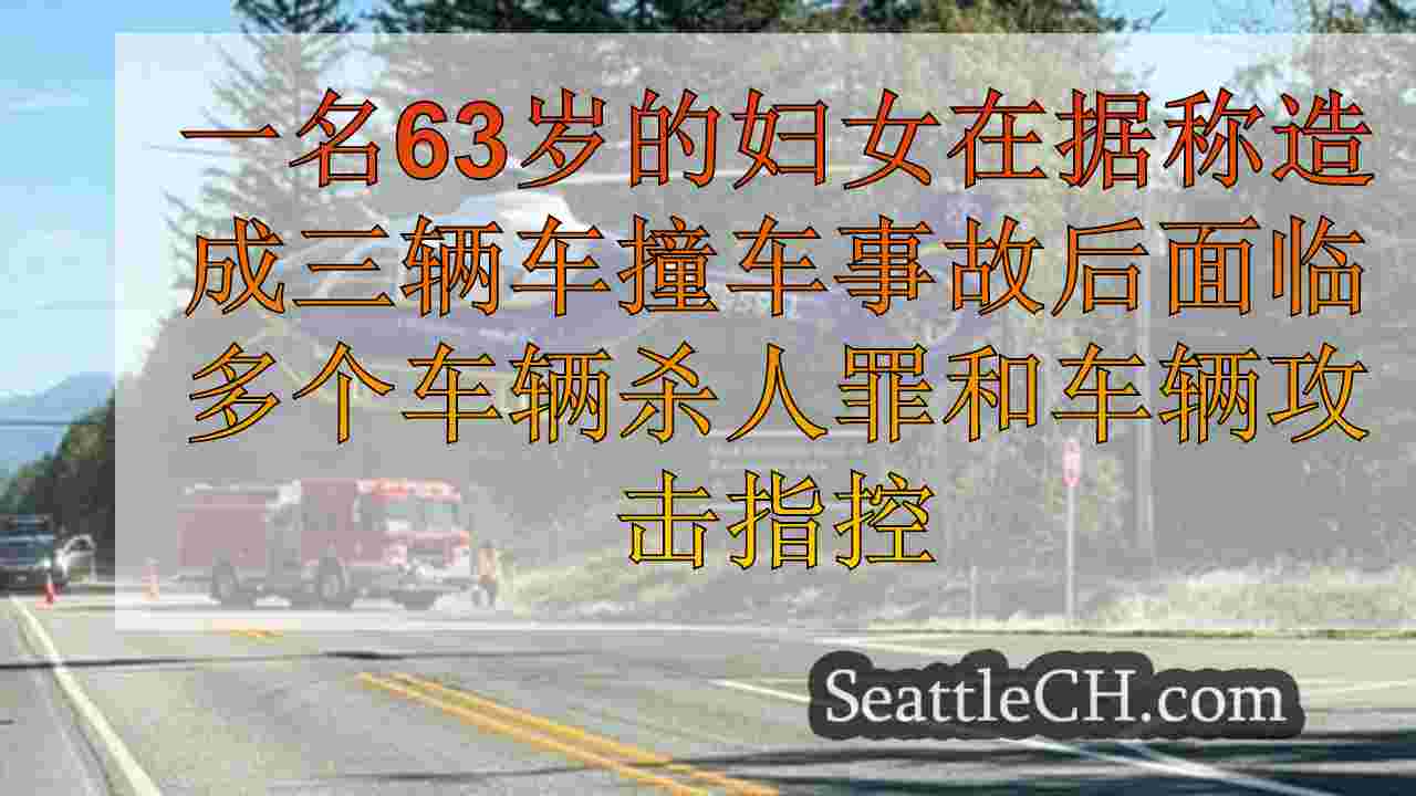 $ 10万美元的保释金套件，被指控在Enumclaw的SR